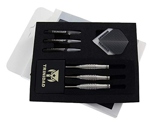 Trinidad Lopez Type 4 Saigo Asada Model Barrel Steel : Amazon.sg